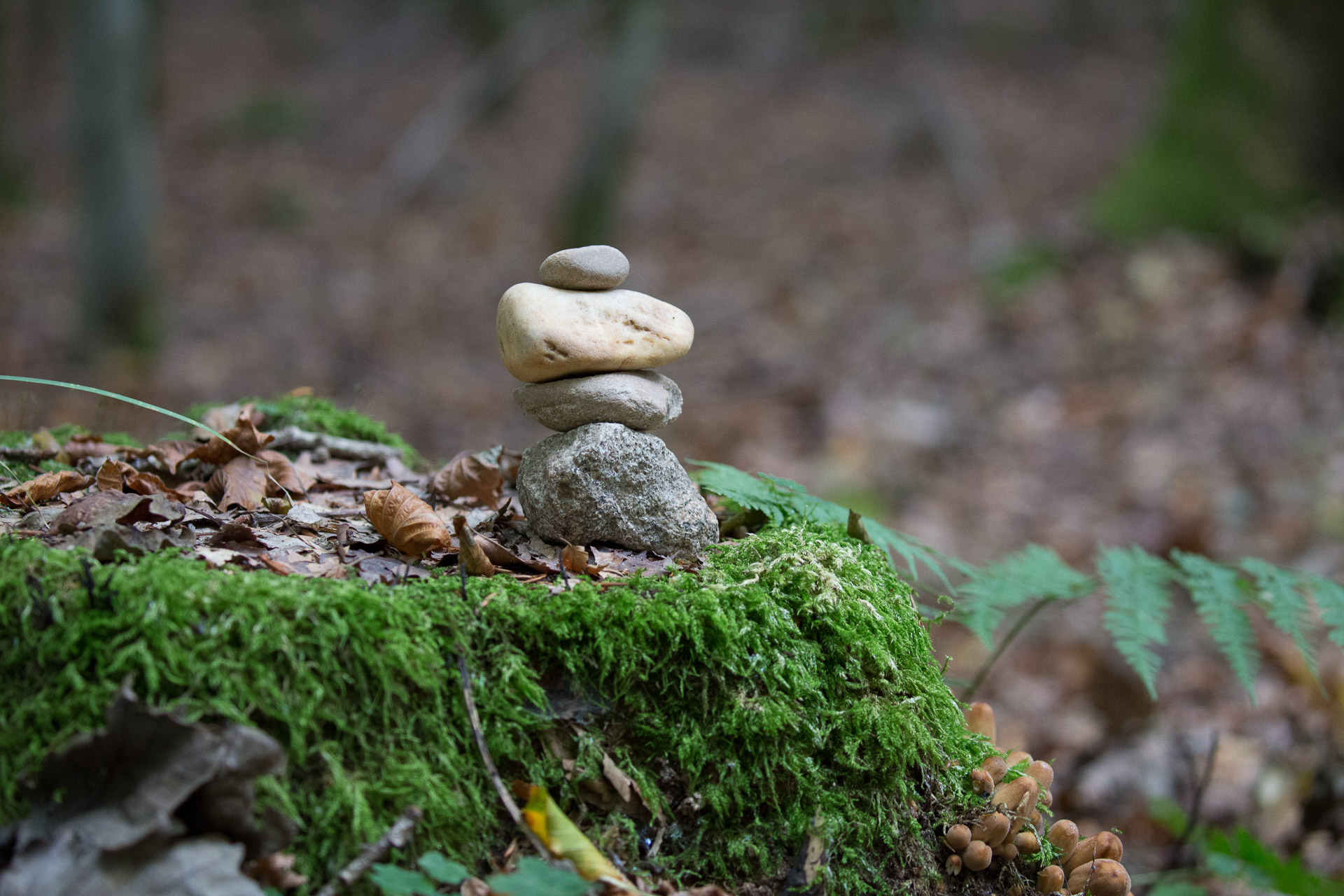 20231014100726 3K6A2147